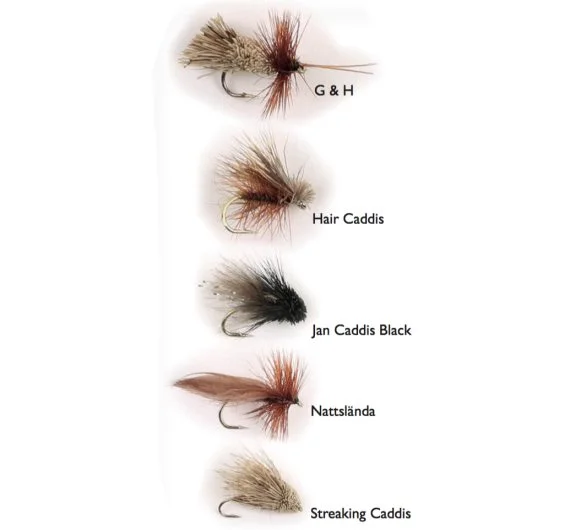sportfishtackle202606040533392628711