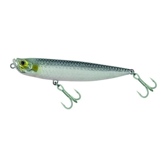 sportfishtackle202606040536072629107