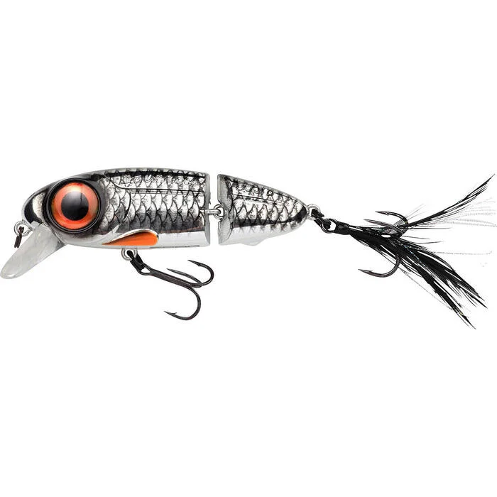tackleshop202606031805382334434
