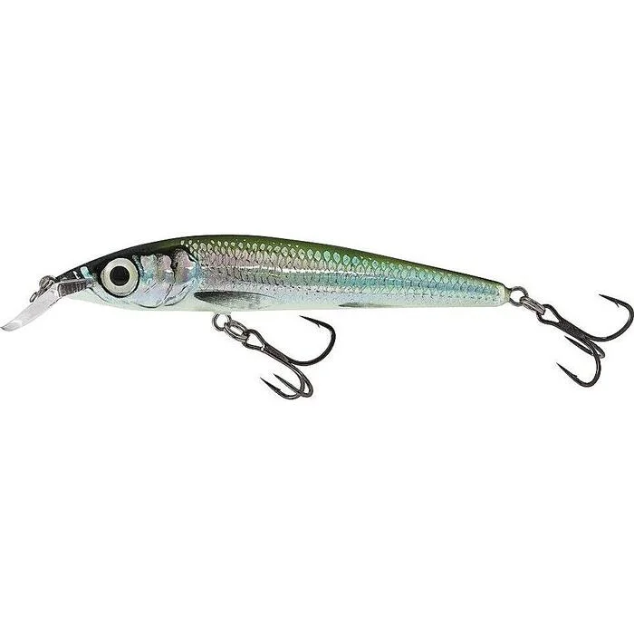 tackleshop202606031826162354059