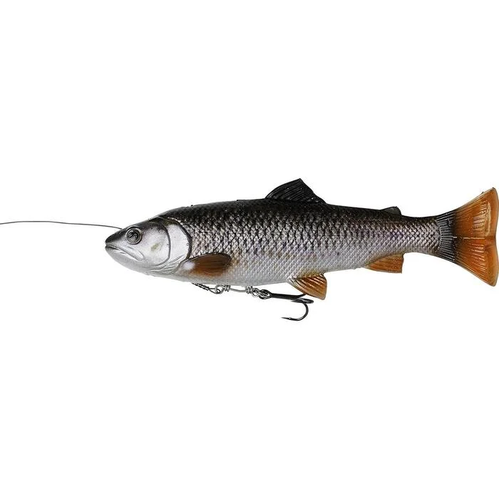 tackleshop202606031830232358086